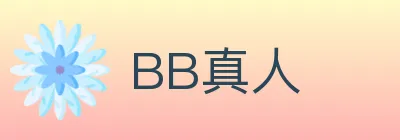 BB真人 logo